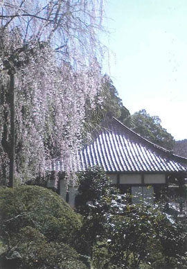 常照山　延命寺