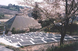 金昌寺