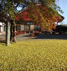 金福寺