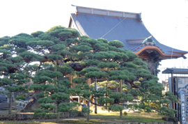 西方寺